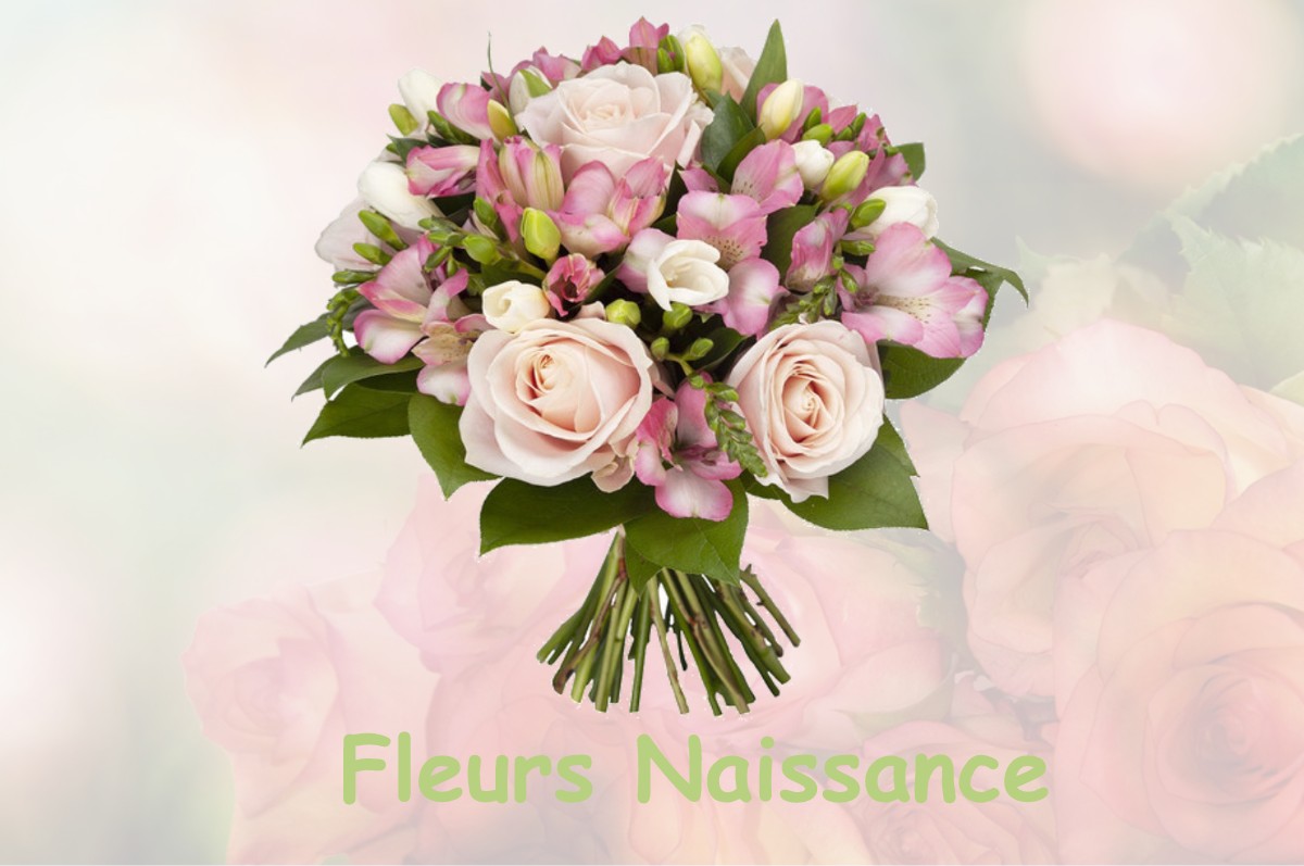 fleurs naissance GILLONNAY