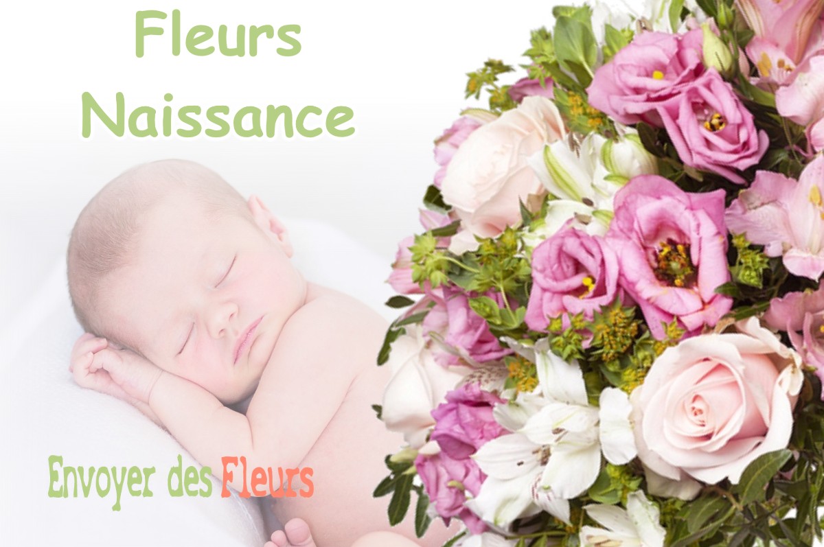 lIVRAISON FLEURS NAISSANCE à GILLONNAY